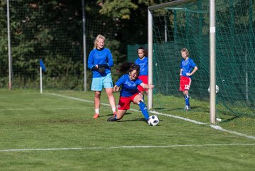 Bild 103 - wBJ HSV - SV Meppen : Ergebnis: 0:2